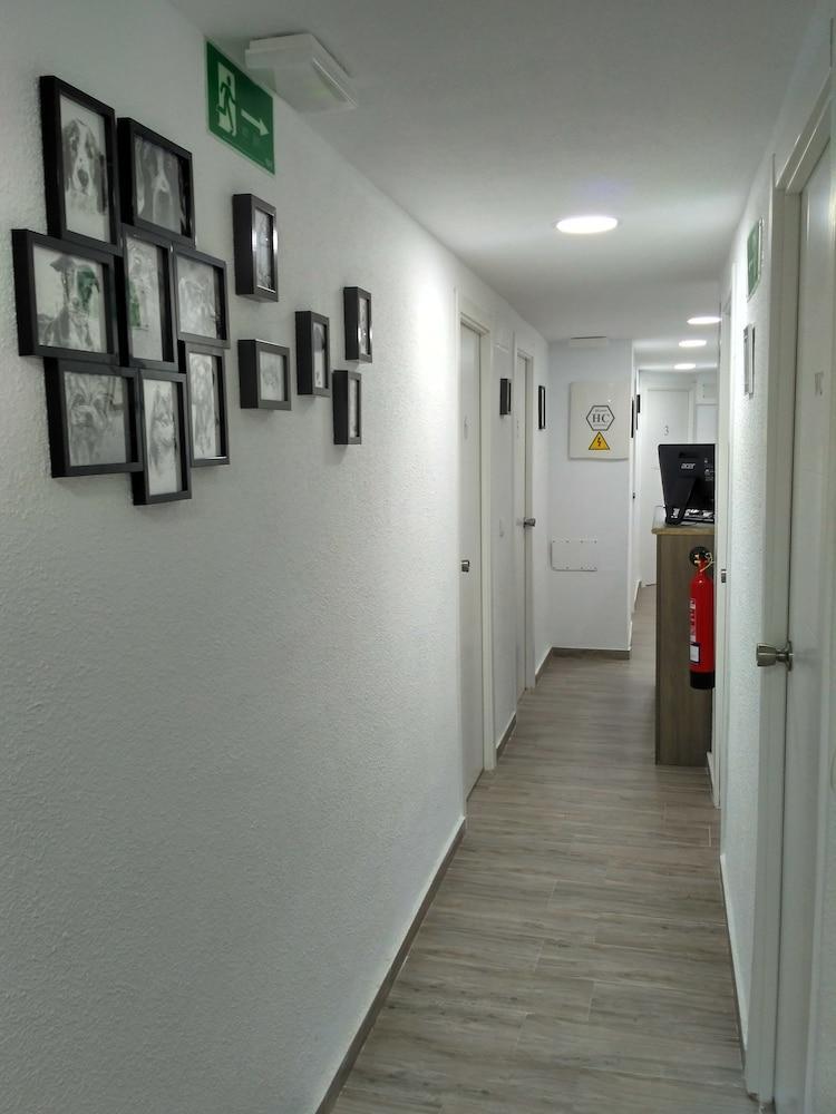 Guesthouse Central Alicante Exterior photo